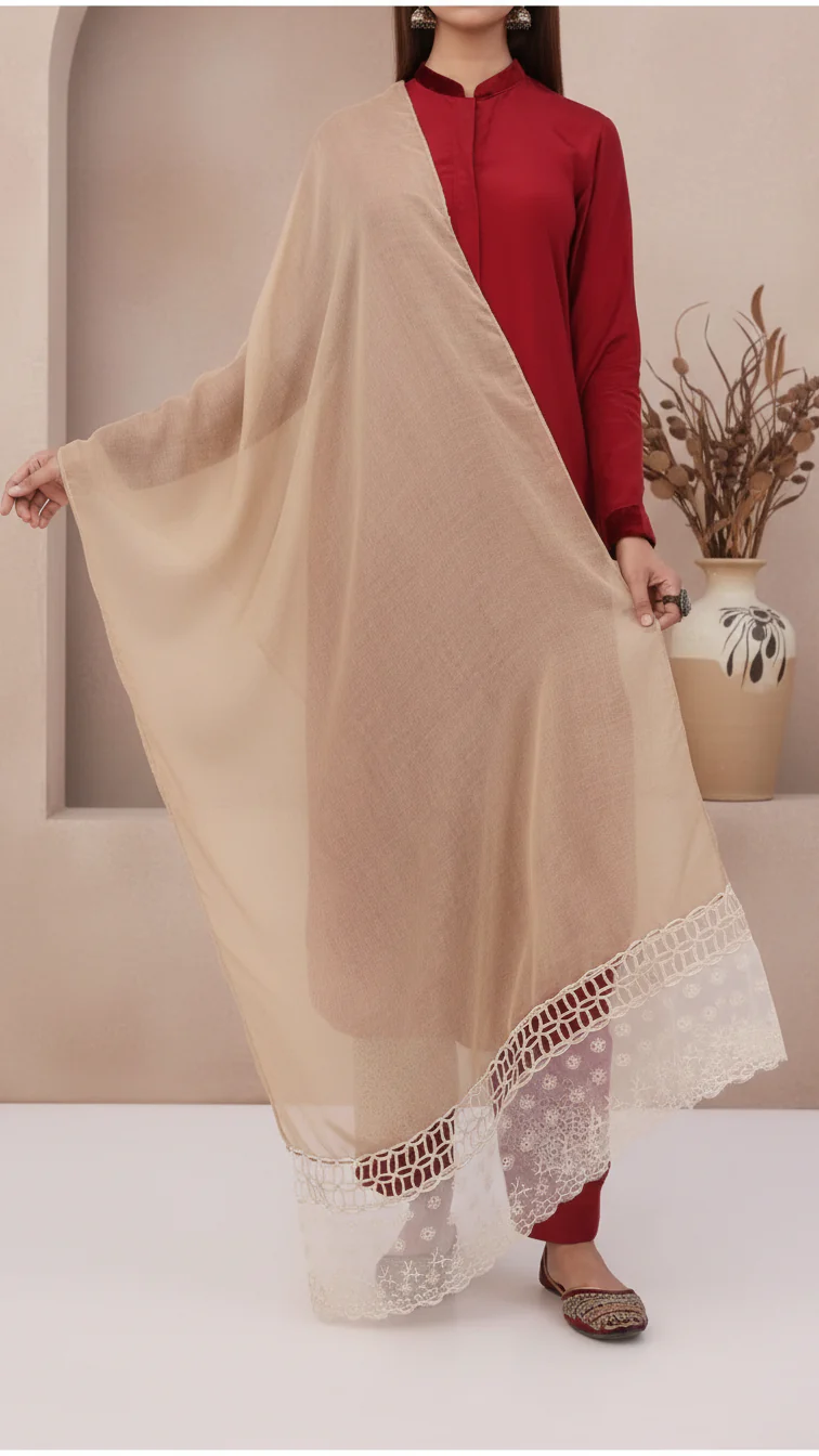 Brown Embroidered Stole PD5339
