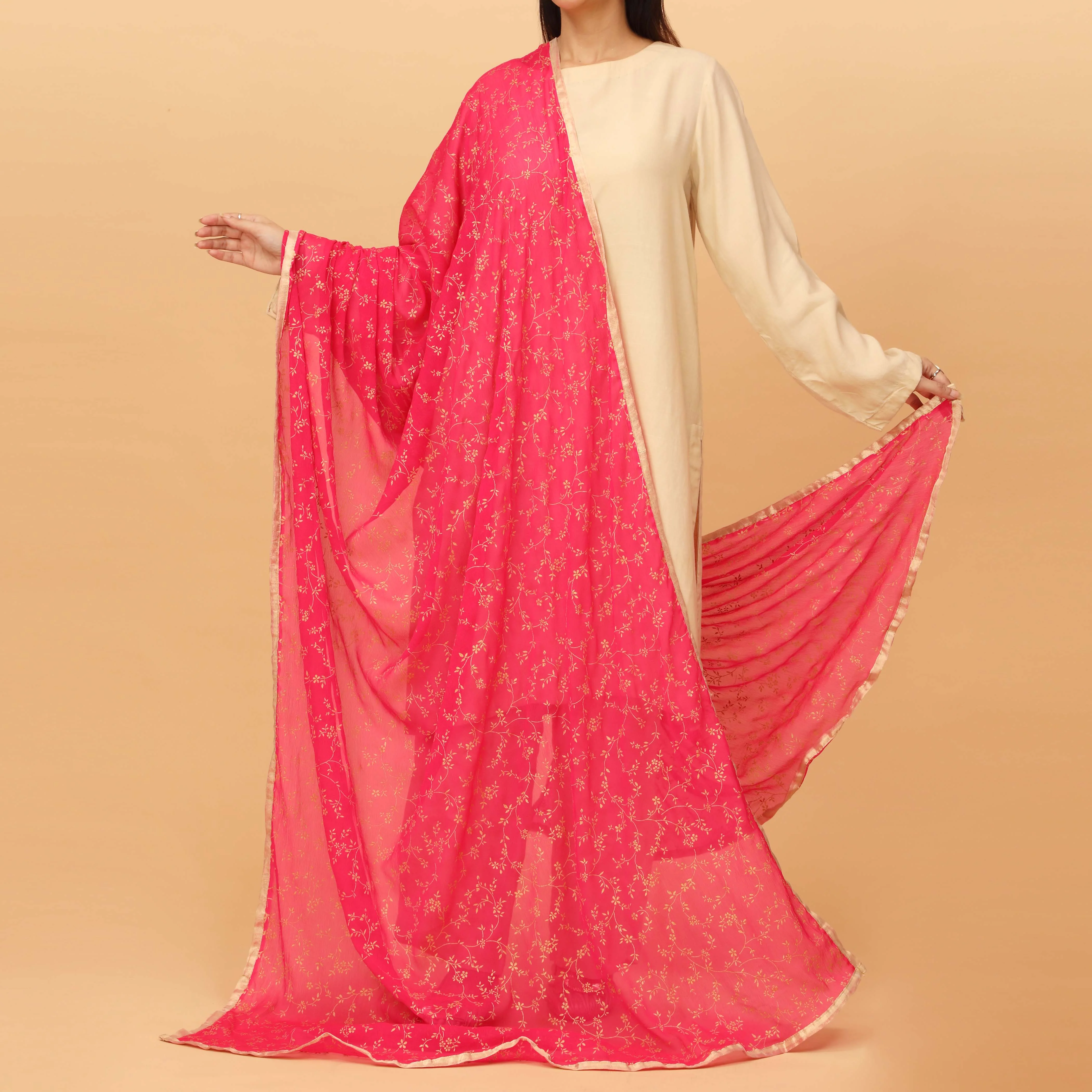 Skpink Printed Chiffon Dupatta PS4707